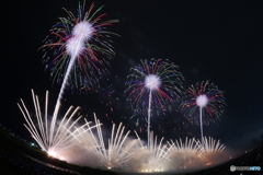 24 神明の花火#24