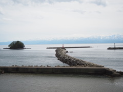 海