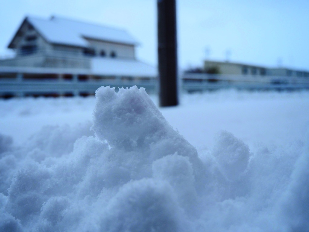 早朝の雪