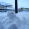 早朝の雪