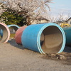 公園