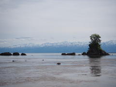 好きな海岸