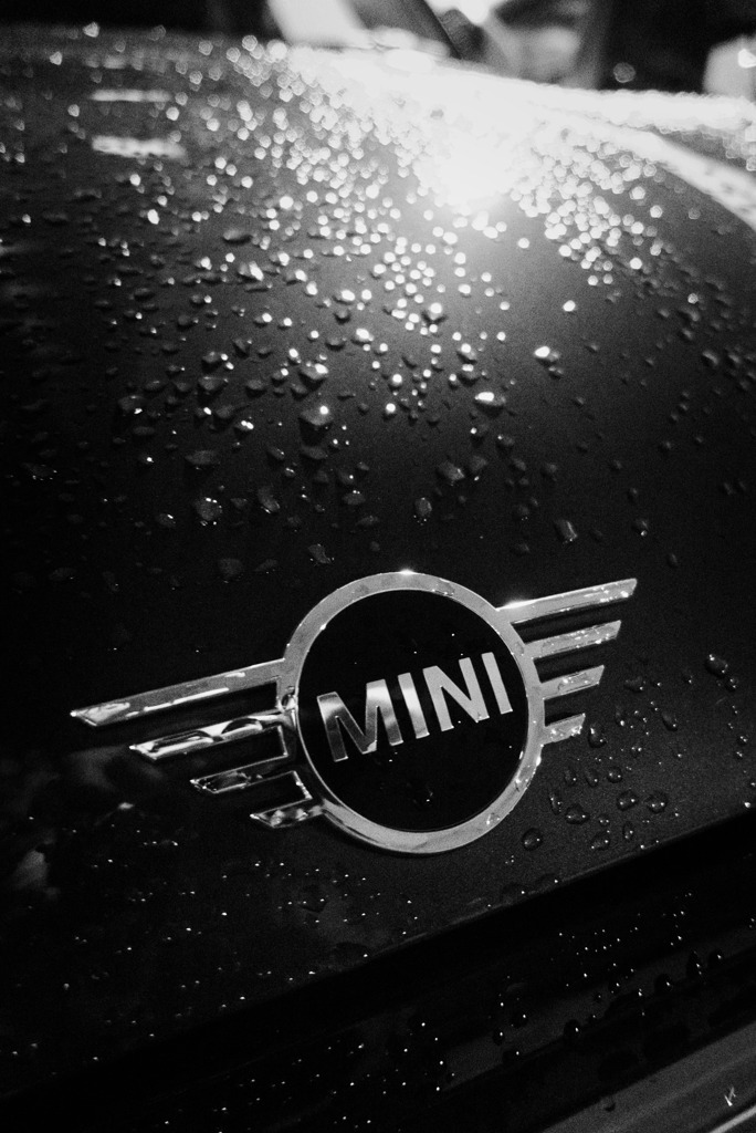 雨上がりのMINI