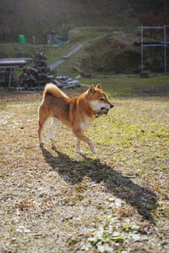 本日のお気に入り