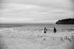 Bondi Beach