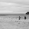 Bondi Beach