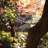 鎌倉