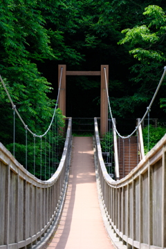 吊り橋