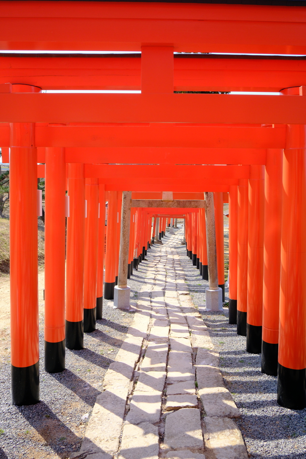 鳥居トンネル