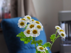 DSCN0057