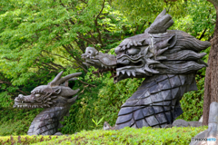 双龍