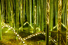 光の竹迷宮