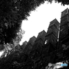 常滑の登窯 Monochrome