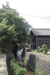 豊島の夏
