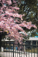 京都河原町