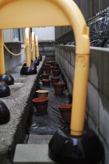 高槻カメラ散歩④