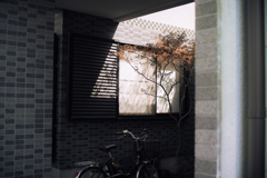 京都某所
