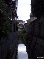 川と住宅
