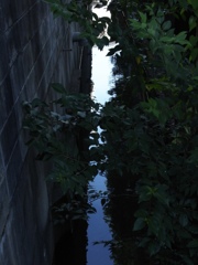 白と青