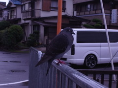 寝ぼけてた