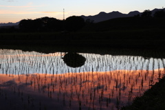 夕暮れ