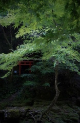 岩壁の中の神社