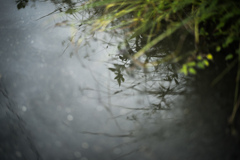 大雨の後