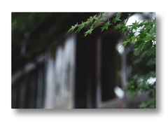 帰り道