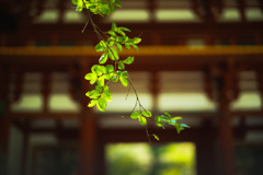 お寺
