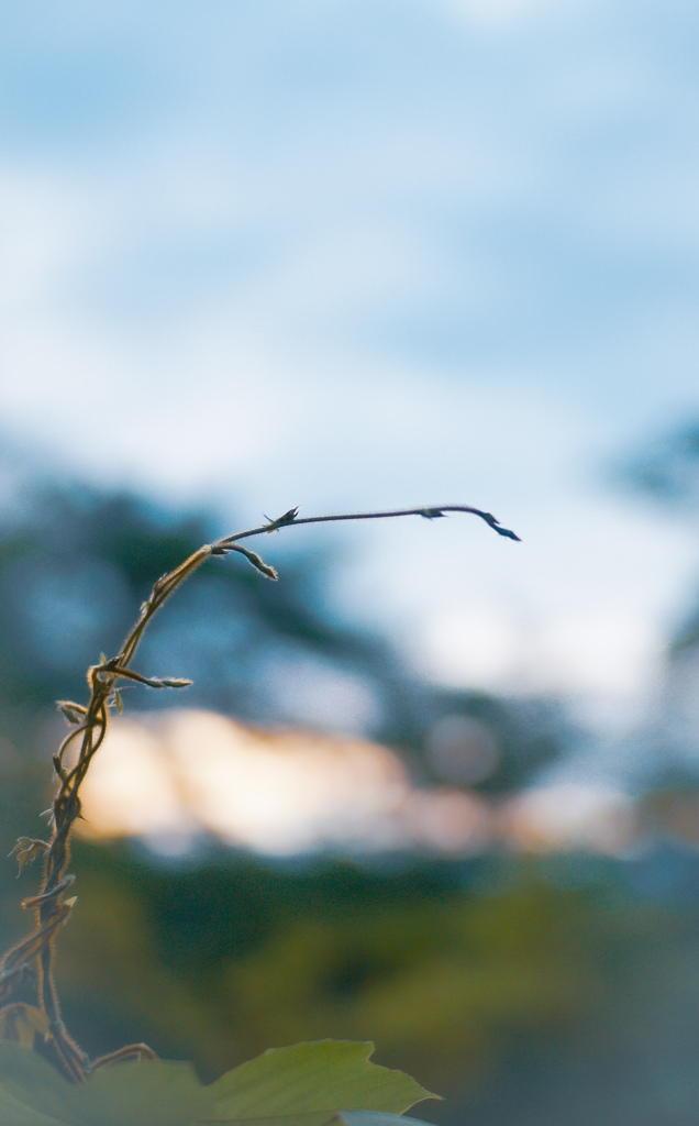 おはようございます