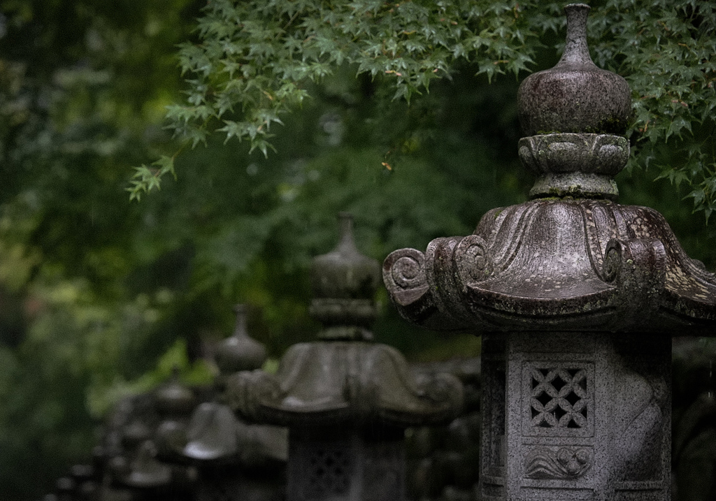 雨上がり