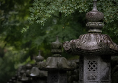雨上がり