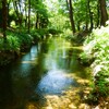 あじさい園の中を流れる小川