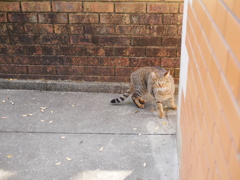 お久しぶりです