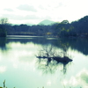 冬の池の畔にて