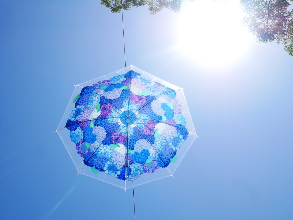 あじさい 10　傘の花が咲く