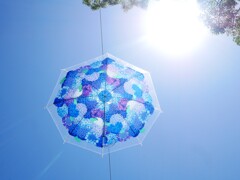 あじさい 10　傘の花が咲く