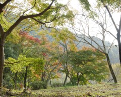 ♪あ～きよ来い は～やく来い