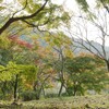 ♪あ～きよ来い は～やく来い