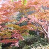 もみじ谷公園