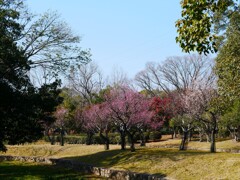 早春の昼下がり