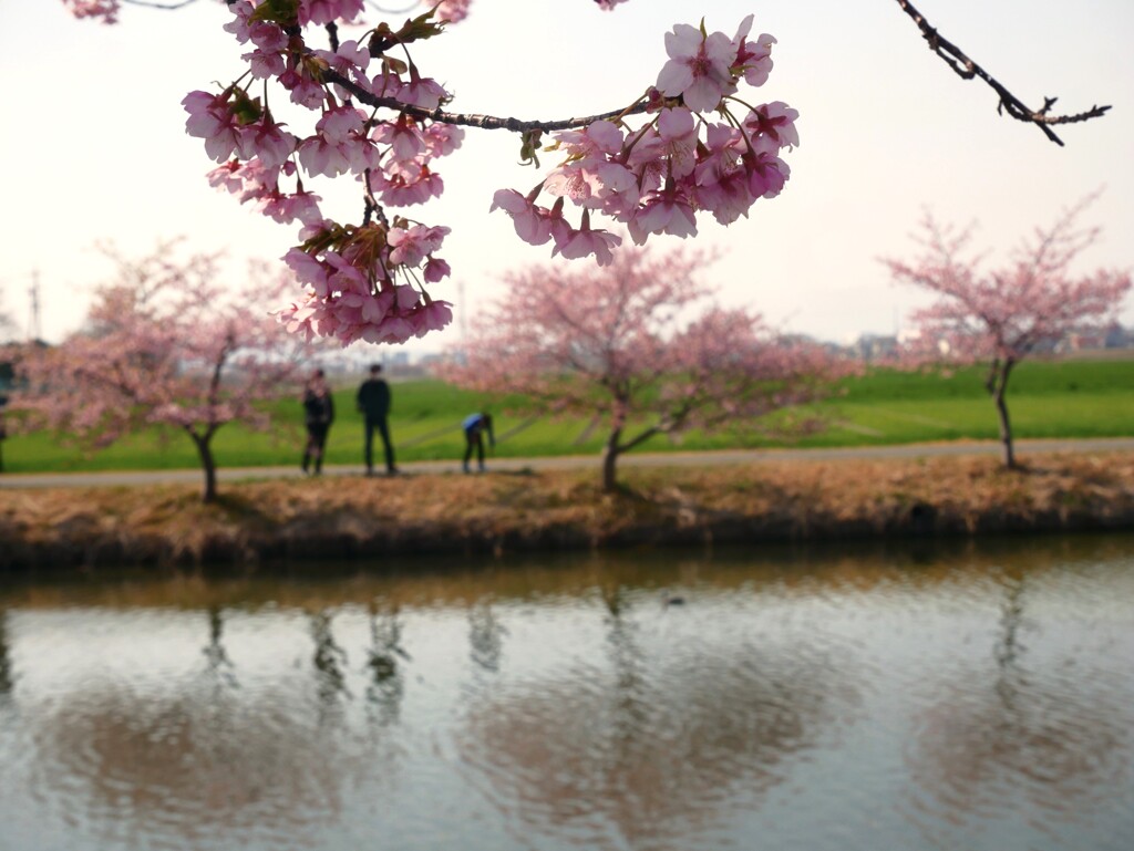 早春のお散歩