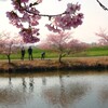 早春のお散歩