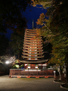 談山神社 十三重塔 ライトアップ
