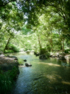 緑の中の静かな流れ
