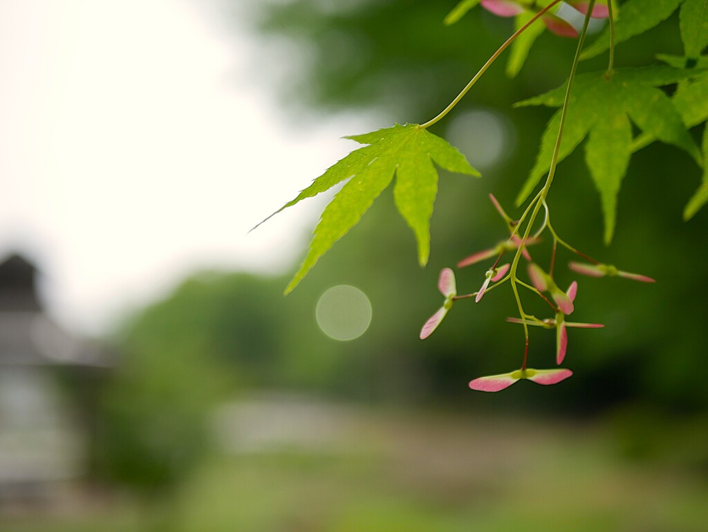 ♪待つわ