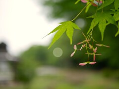 ♪待つわ