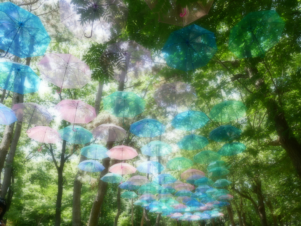 アンブレラスカイ