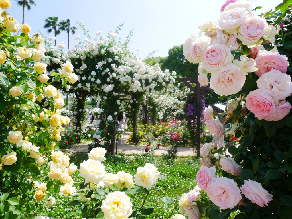 花園