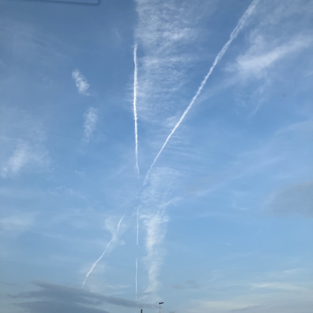 Ｘ